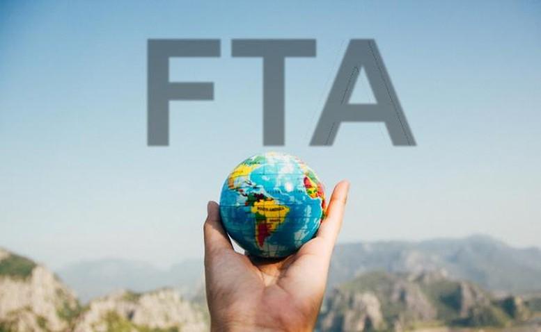 Những điểm nổi bật của FTA Index 2025